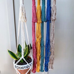 May include: A collection of six macrame plant hangers suspended from gold-toned hooks. One white hanger holds a terracotta pot with a snake plant. The other five hangers are in pink, yellow, teal, blue, and beige, featuring knotted cord designs.