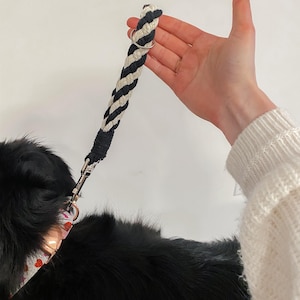 May include: A black and white striped dog leash with a silver clip. The leash is made of braided rope and is held by a hand.