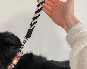 Braided Macrame Dog Leash Extension: Custom Color Mini Leash
