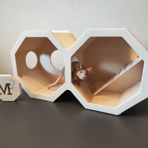 Puede incluir: Una casa de juegos hexagonal de madera blanca con un pequeño ratón dentro. La casa de juegos tiene dos secciones conectadas con una rampa y un agujero en la parte posterior. La casa de juegos está etiquetada con la letra "M".