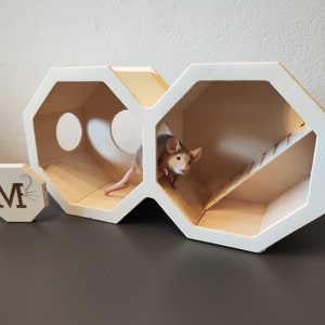 Double cave - size M - for dwarf hamsters, colored mice / hamster house / small animal accessories made of wood for burying (rodents/small animals)