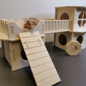 Può includere: Una casetta di gioco in legno a più livelli per piccoli animali domestici, con una rampa, una piattaforma e più aperture. Un piccolo topo marrone sta esplorando il livello superiore.