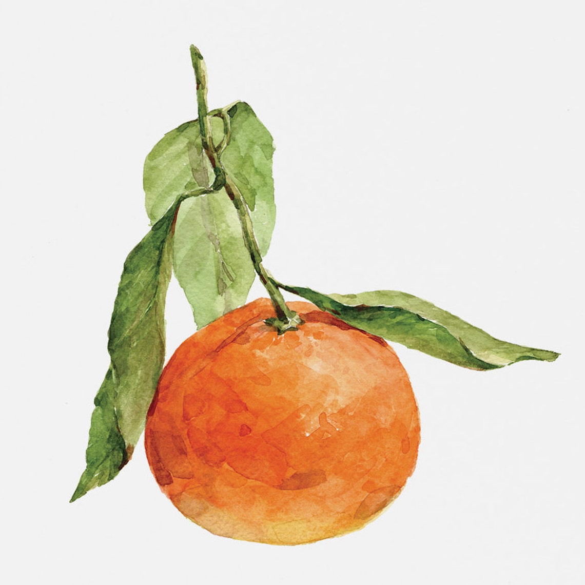 Tangerine Watercolor Print, Clementine Fruit Art, Watercolor Wall Art