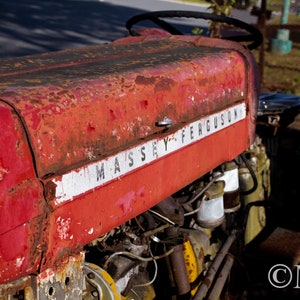 Massey Ferguson Beauty Matted Photograph