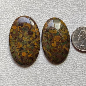 2 P&#39;c Lot Fruit Jasper Cabochon, Loose Gemstone, 114 CRT Natural Jasper Stone, Handmade Jewelry