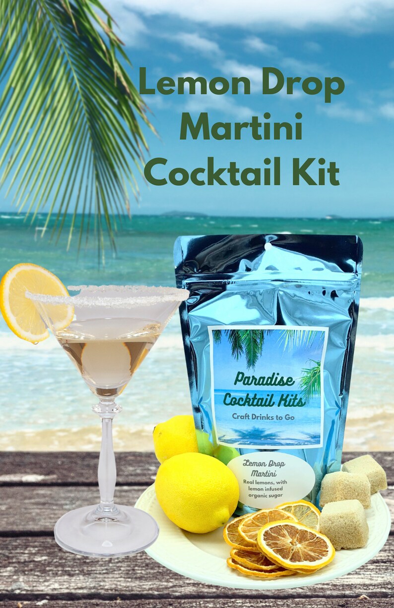 Cocktail Infusion Kit for Lemon Drop Martini Drink Kit for DIY Etsy