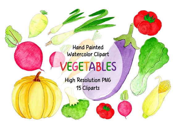 15 Set Watercolor Vegetables Clipart Hand Painted Clipart | Etsy