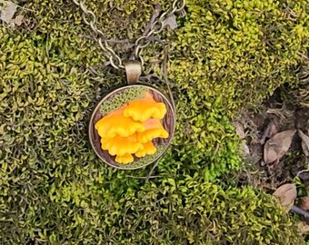 Chicken of the woods mushroom pendant