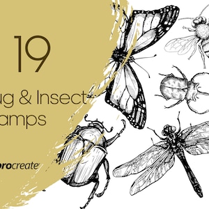 Bug Procreate Stamps | Insect Procreate Stamps | Butterfly, Ladybird and Dragonfly Procreate Stamps | Commercial Licence Included