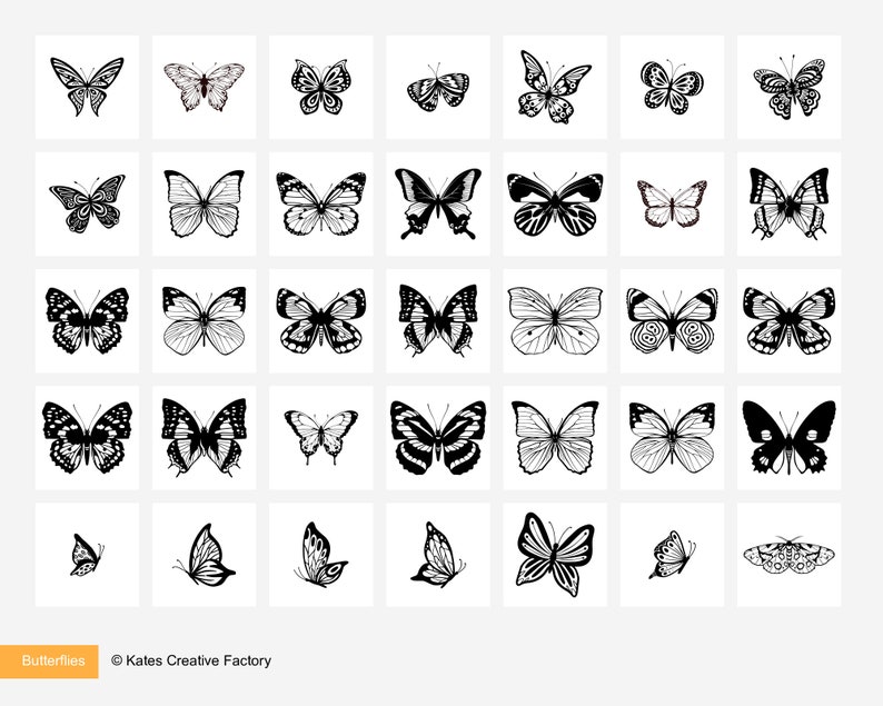 May include: A collection of 36 black and white butterfly illustrations. The butterflies are in various poses and have different wing shapes and patterns.