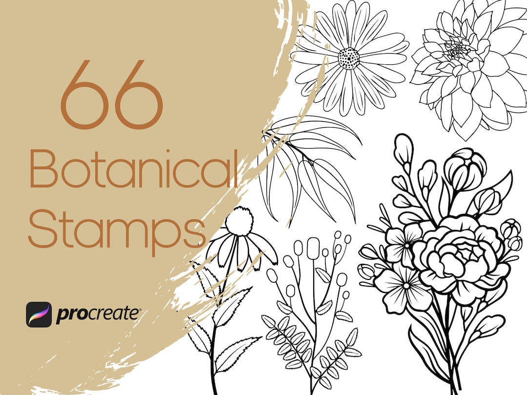 66 Hand Drawn Botanical Procreate Stamps: Floral & Wildflower ...