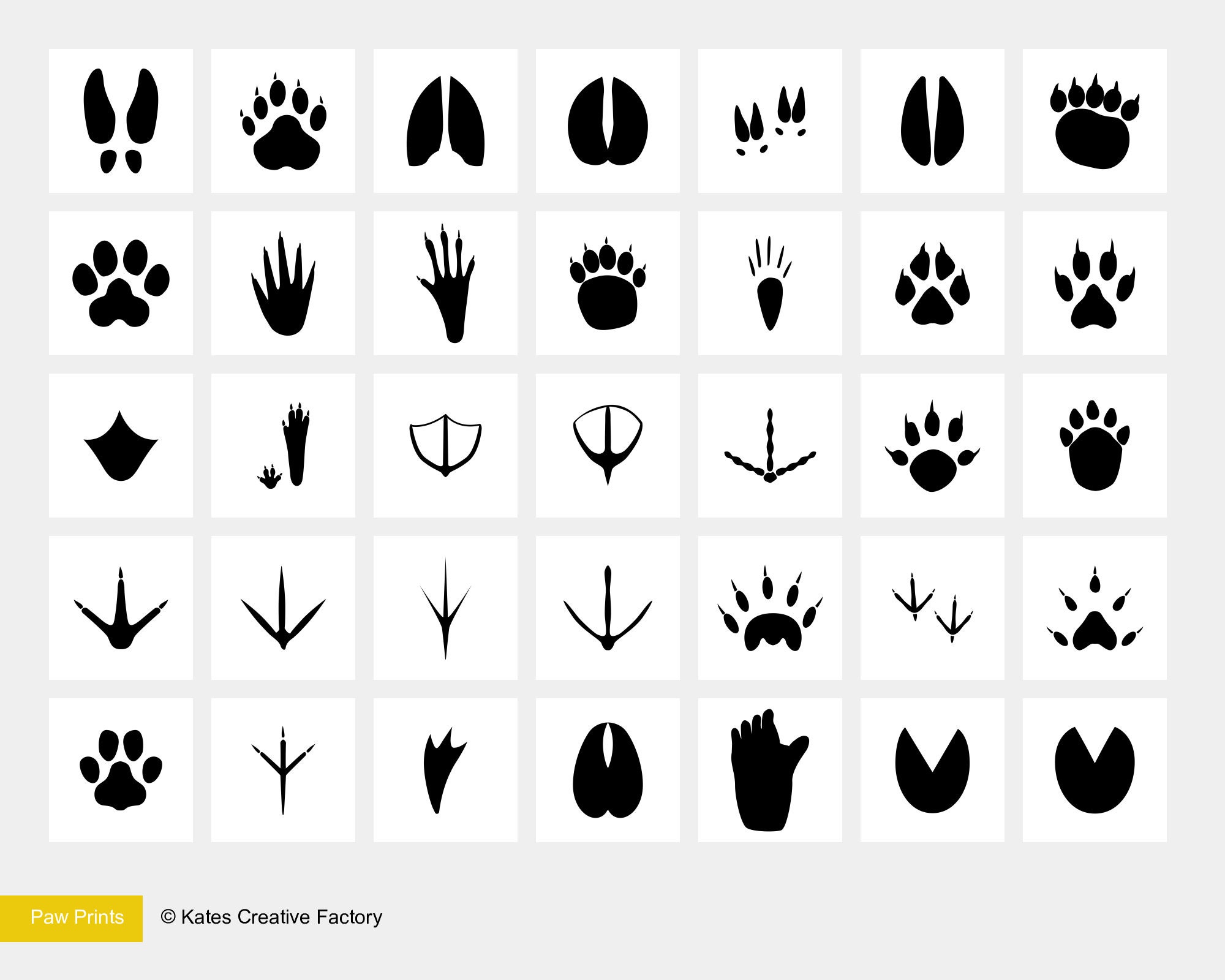 Paw Print Procreate Stamps Animal Footprint Procreate Stamps Etsy