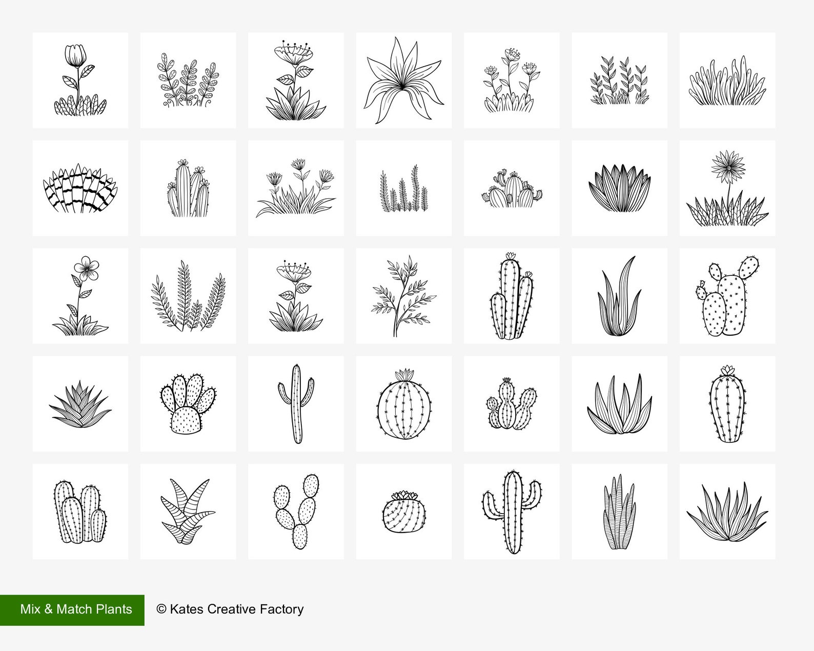 Plant Procreate Stamps: Cactus & Succulents (commercial Licence) - Etsy