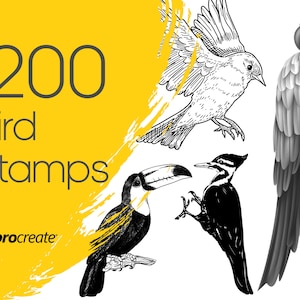 Bird Procreate Stamps | Wild Bird Procreate Stamps | Macaw, Toucan and Parrot Procreate Stamps | Commercial Licence Included