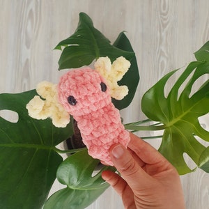 Сrochet Kit Beginner Crochet Axolotl Sister Gift 