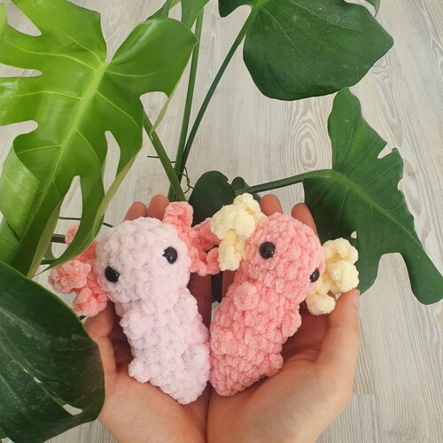 Custom Baby Axolotl Plush Amigurumi Pocket Buddy Worry Pet Etsy