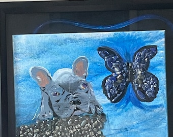 Frenchie meets a blue butterfly