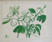 Watercolours and painting flowers- green or purple