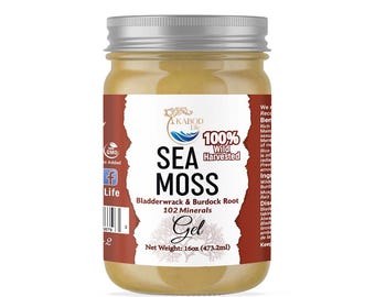 Wild Harvested Sea Moss Gel with Bladderwrack, Burdock Root – 102 Minerals