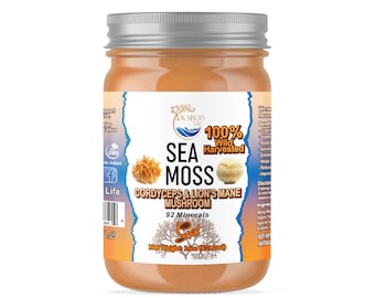 Gel de musgo marino silvestre: Cordyceps y melena de león - 16 oz