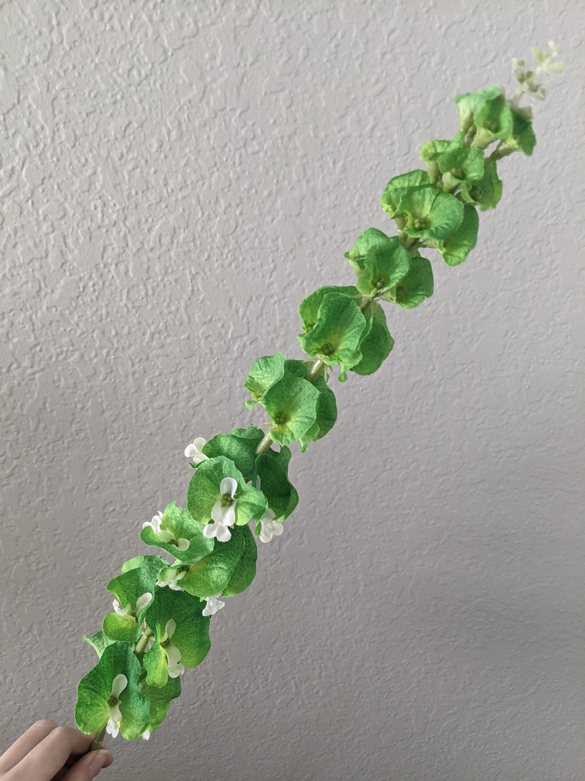 Silk Bells of Ireland for Floral Arranging and Home Decor Etsy