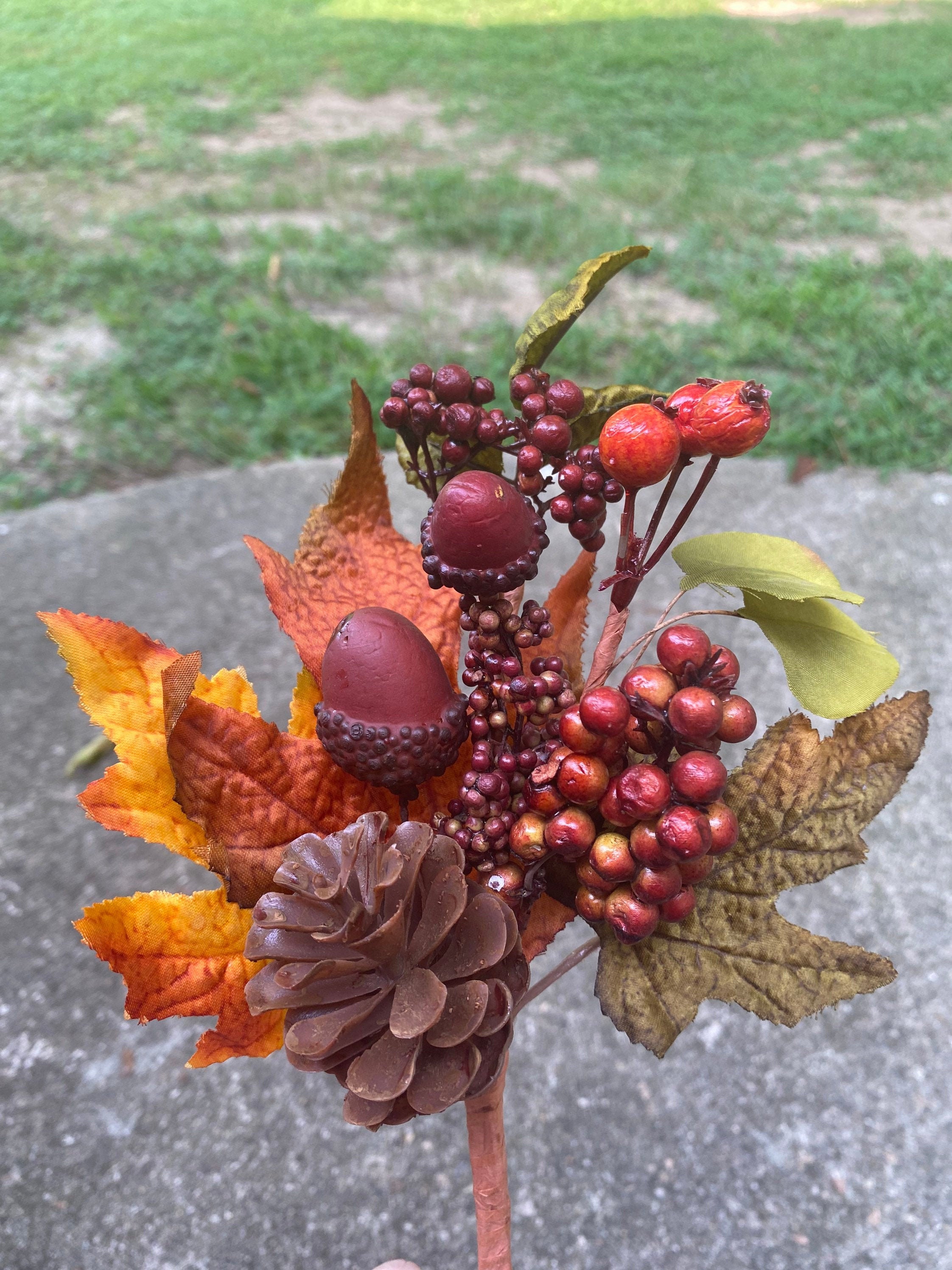 Large Berry Picks