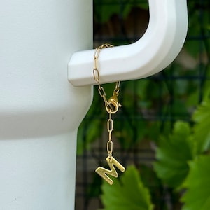 Stanley Cup Accessories/ Stanley Cup Charm/ Stanley Cup/ Water bottle Accessories for women/ Tumblr handle Charms/ Stanley Accessories