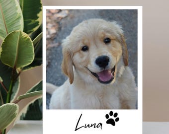 Personalized Polaroid Photo Pet Magnet,Custom Name Pet Gift Idea, Pet Keepsake, Pet Fridge Decor, Pet Lover Gift, Gift for Dog Cat Owner