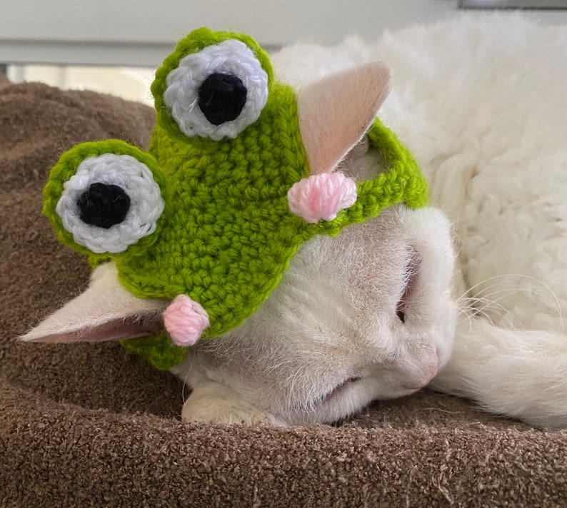Crochet Frog Hat for Cats & Dogs Cottagecore Kawaii Froggy Etsy Australia