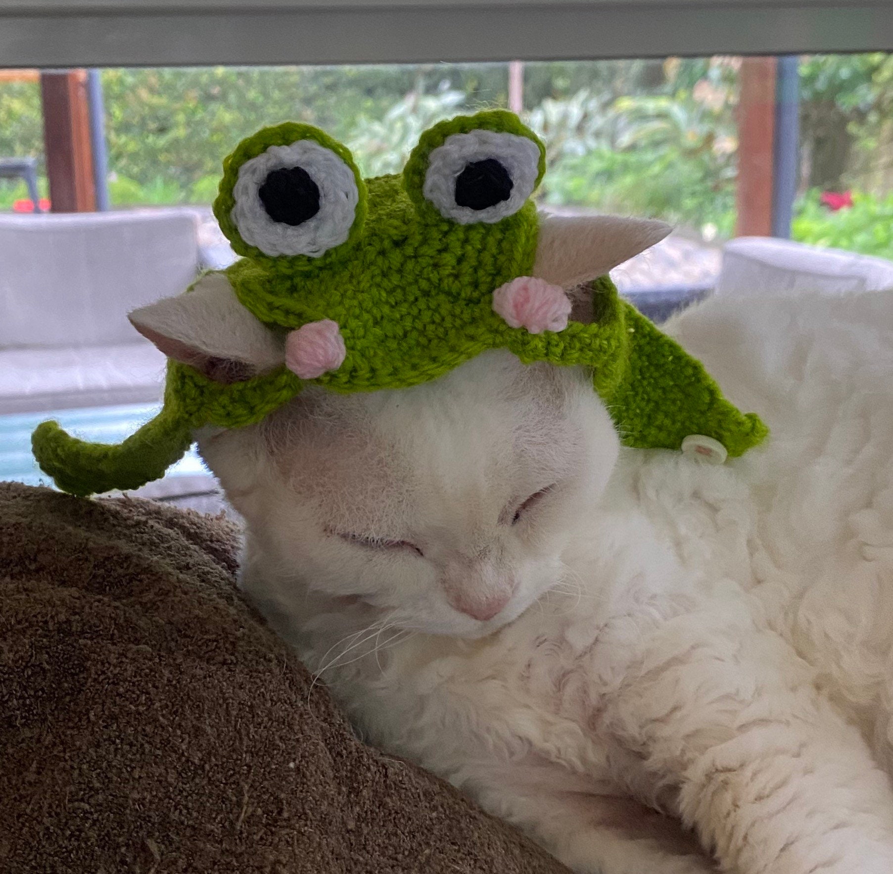 Crochet Frog Hat for Cats & Dogs Pets Cottagecore Kawaii Etsy