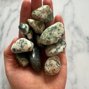 Moss agate tumbles small/medium