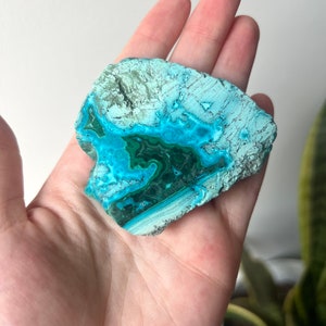 May include: A turquoise and green chrysocolla crystal with a rough, natural texture. The crystal is a light blue color with green veins and swirls.