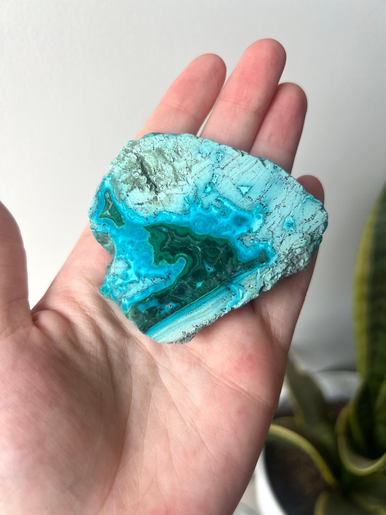 May include: A turquoise and green chrysocolla crystal with a rough, natural texture. The crystal is a light blue color with green veins and swirls.