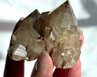 Schöne Kundalini Citrine Gruppe | Elestial Citrine Traube aus der Dominikanischen Republik Kongo