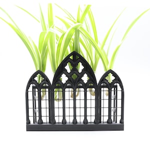 May include: A black metal planter with a gothic arch design, holding several green spider plants.