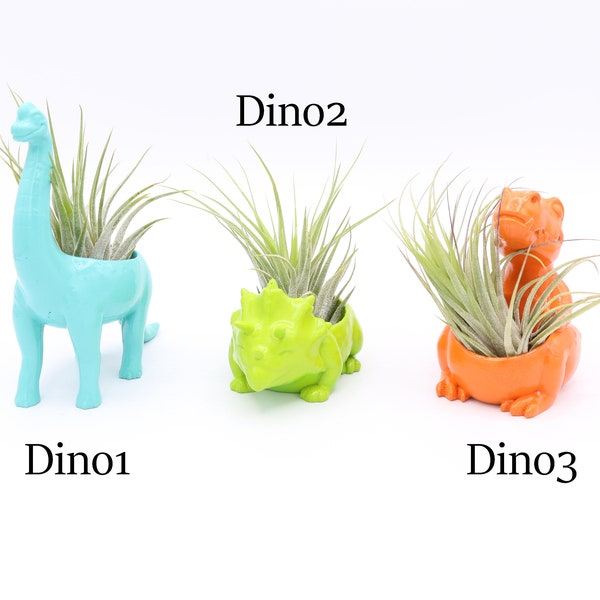 Dinos and Dragons Air Plant Displays