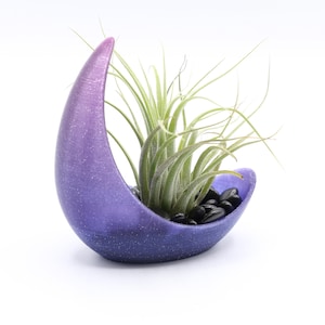 Half Moon Air Plant Display, Crescent Moon Planter, Air Plant Holder, Gift for the Plant Lover in your Life