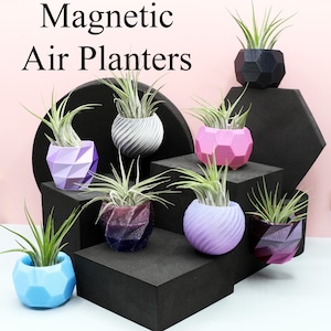 Magnetic Air Plant Display, 3D Printed Beautiful Unique Air Planter, Fridge Magnet Plant Art