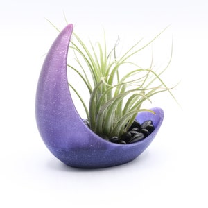 Half Moon Air Plant Display Sparkle Purple