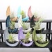 see more listings in the Air Planters section