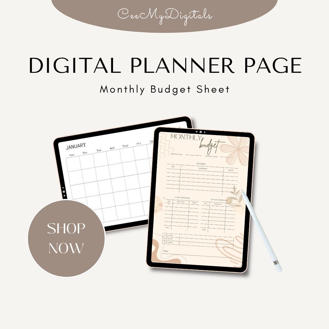 Monthly Budget Planner Page Instant Download PDF Printable Template - Etsy