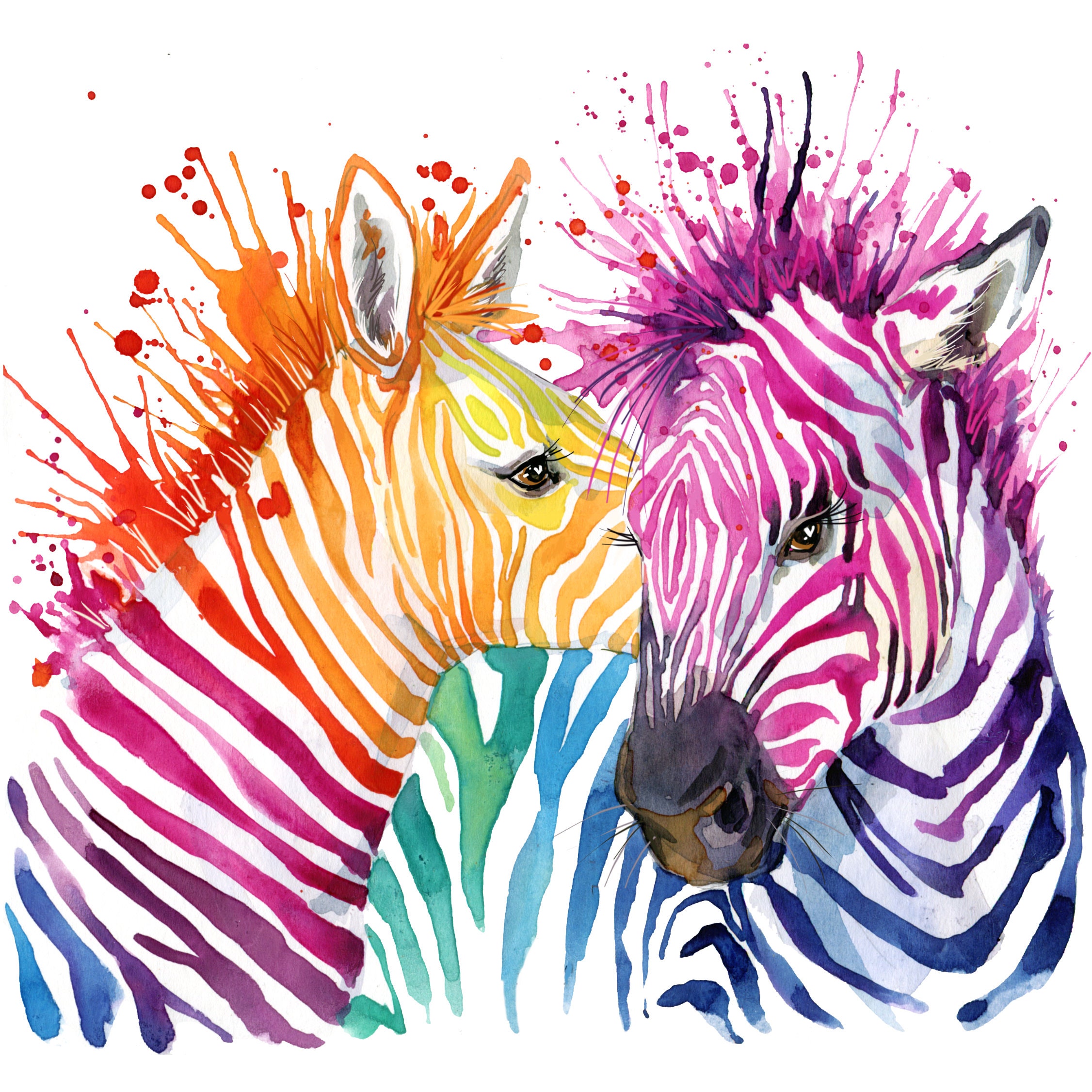 Paint by Number Gift for Adults Colorful Zebra 