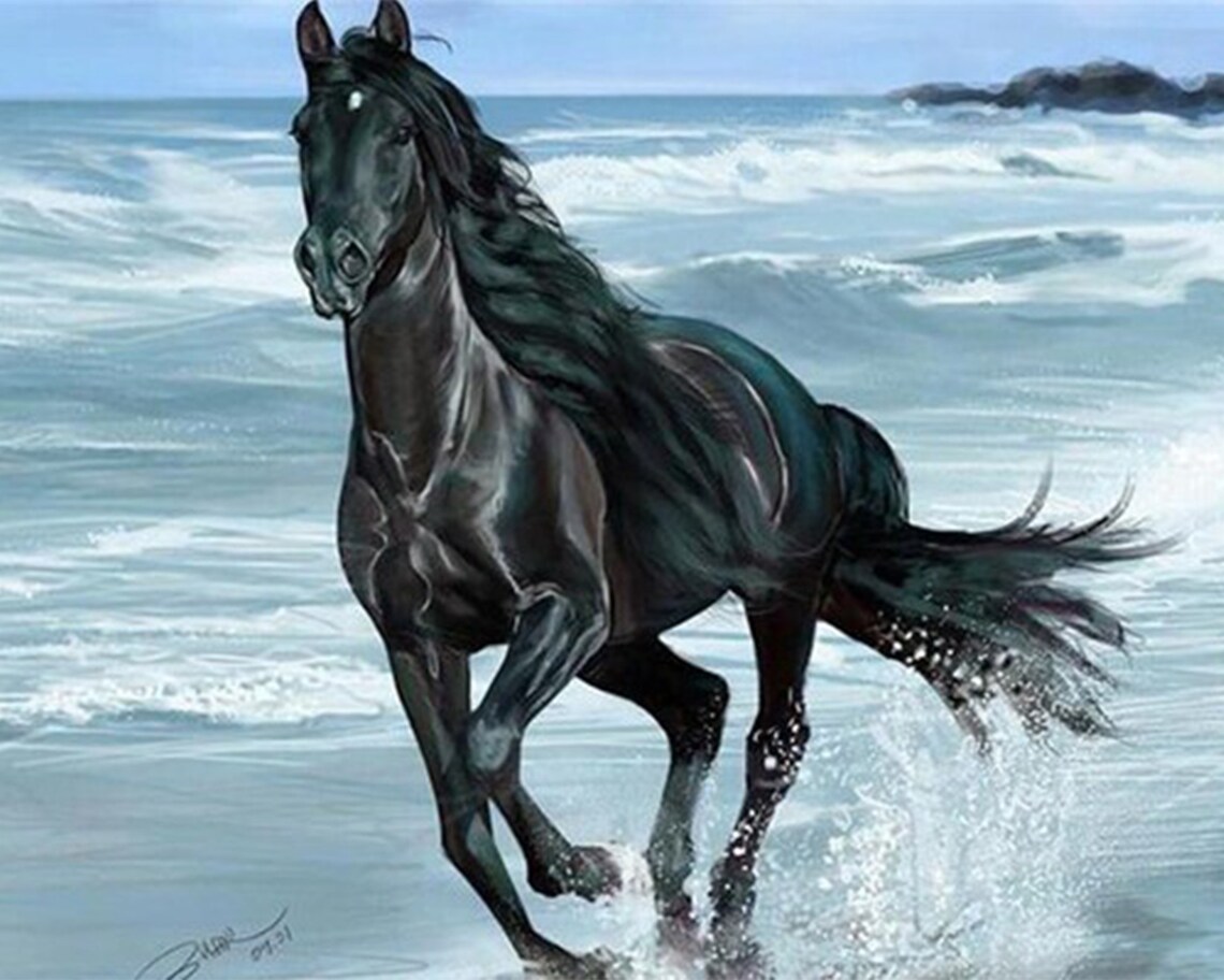 Paint by Number Black Horse Etsy