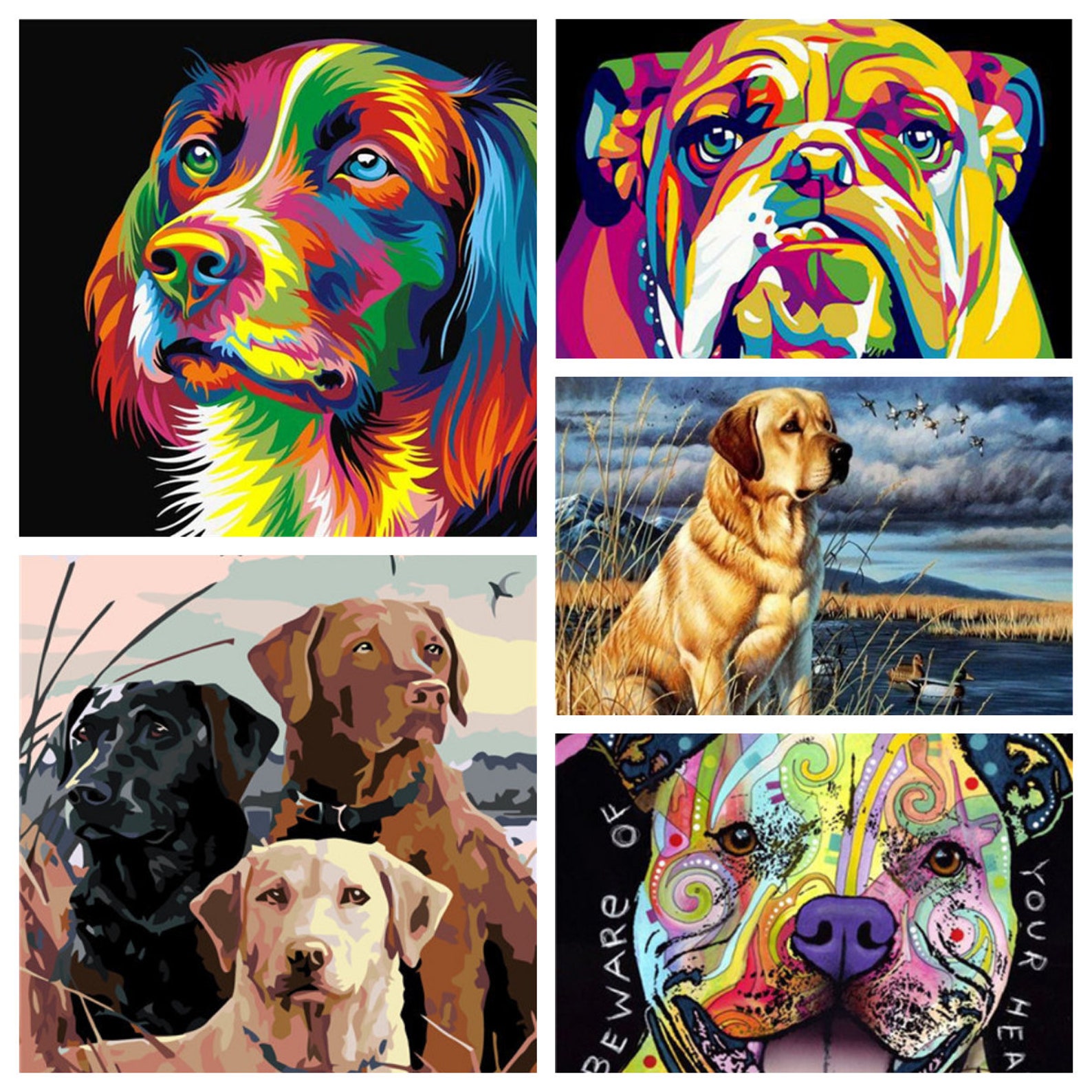 Paint by Number Dog for Adults Paint by Number Kit Rolled - Etsy Singapore