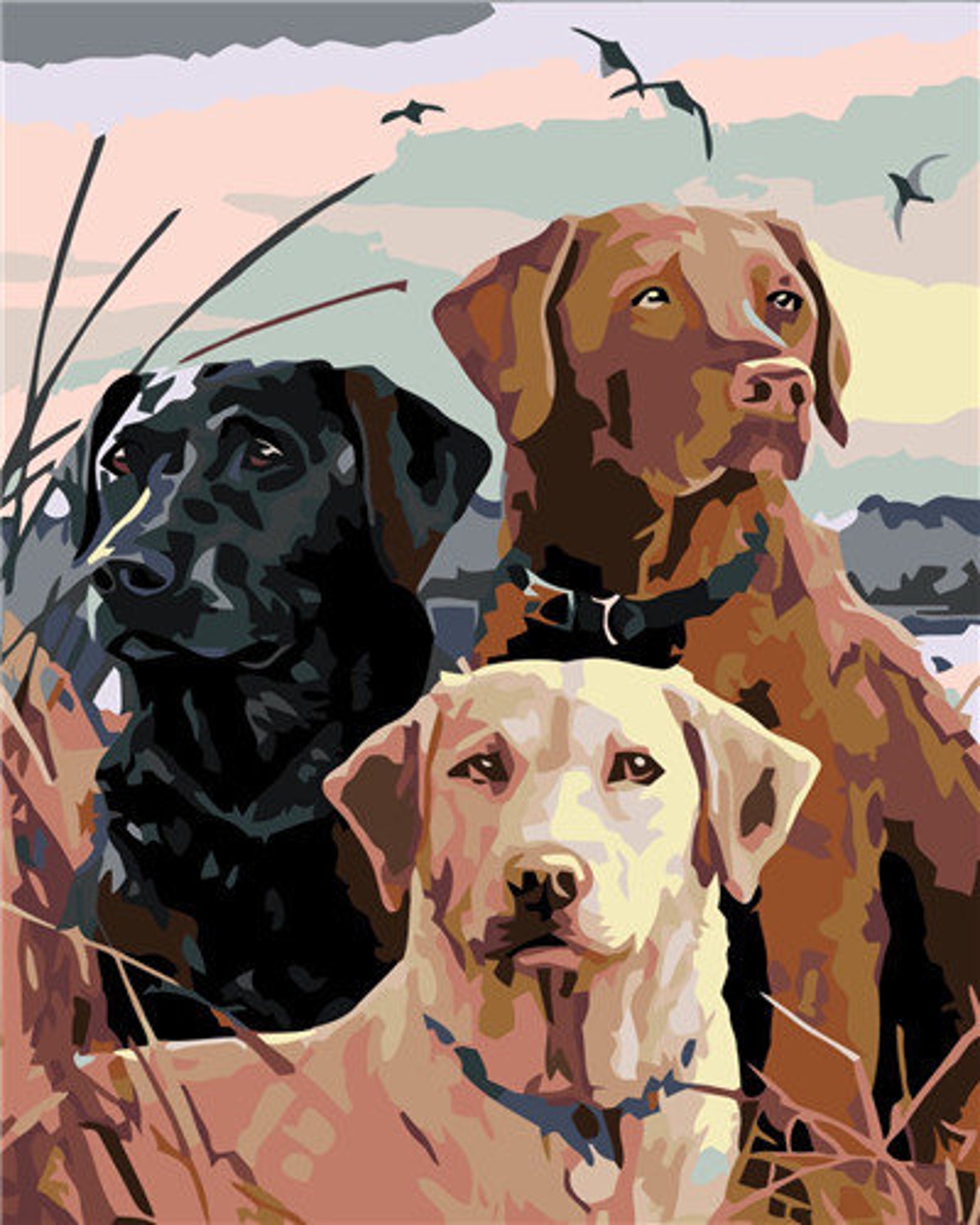 Paint by Number Dog for Adults Paint by Number Kit Rolled Etsy Singapore