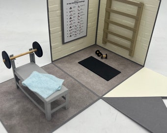 Explosion box gym with weight bench, sports, voucher for a gym membership