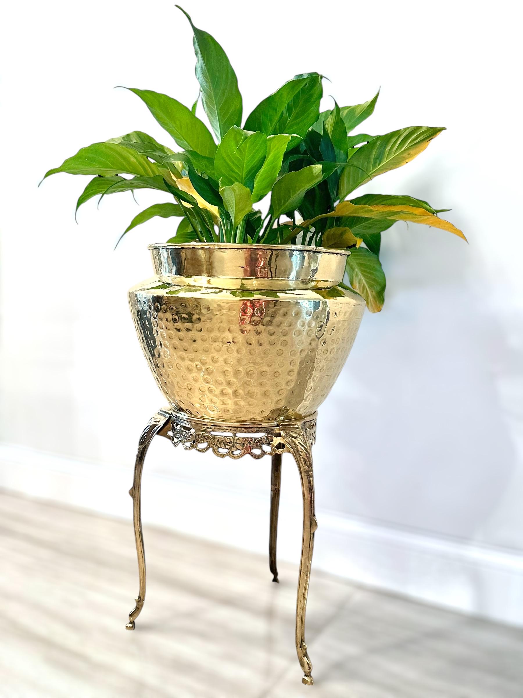 self watering planter with trellis Self-Watering Tomato Planter with Trellis  Buzzy Seeds