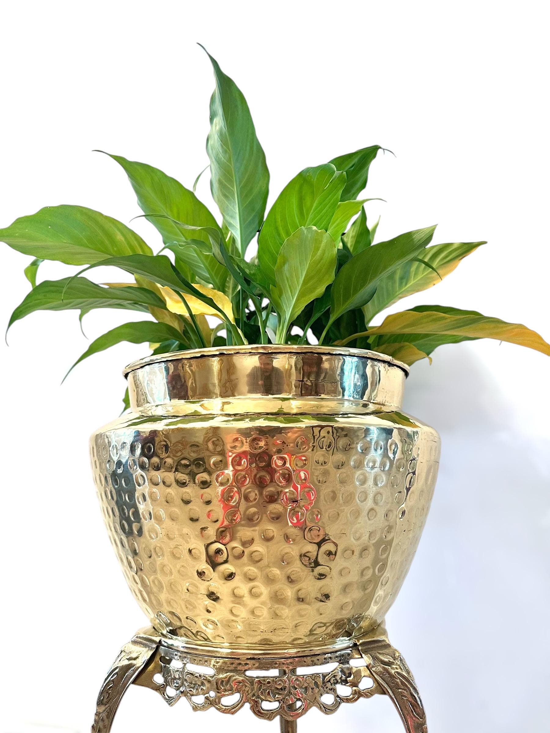 boho planter pot Boho Planter + Plant