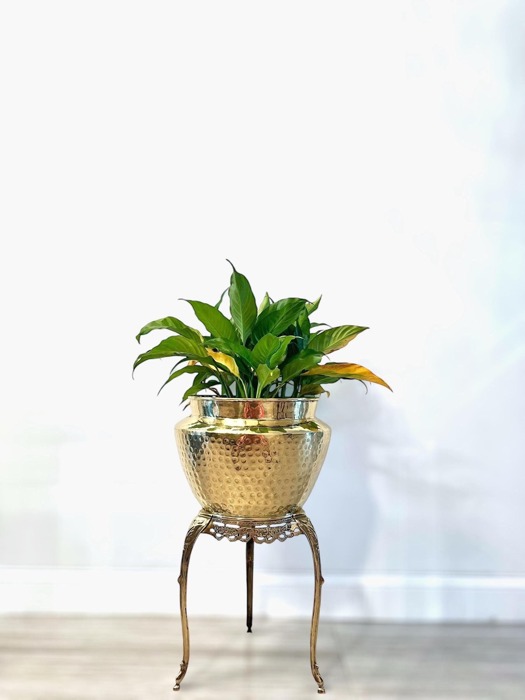 XXL Hammered Brass Planter With Stand | Antique Brass Flower Pot