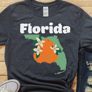 Camisa de Florida, Camisa retro de Florida, Camiseta vintage, Camiseta retro disresada, Camiseta vintage de Florida, Camisa de Florida vintage de los 80, Estado de Florida
